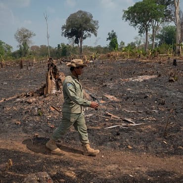 In Cambodia, Indigenous villagers lose forest & land amid carbon offset project