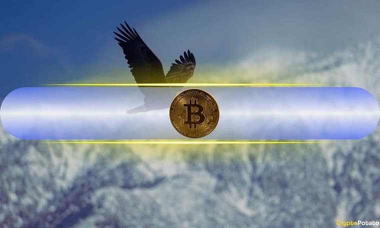 Crypto wallet tracing