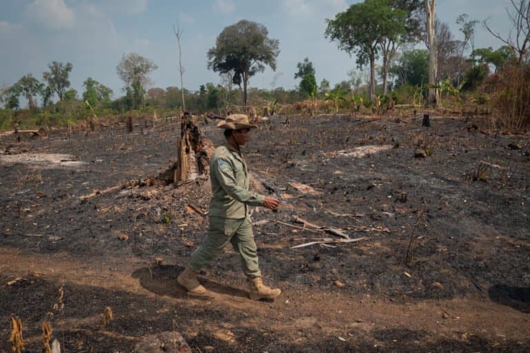 In Cambodia, Indigenous villagers lose forest & land amid carbon offset project